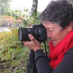 Writer  Mentor  Traveler  Photographer