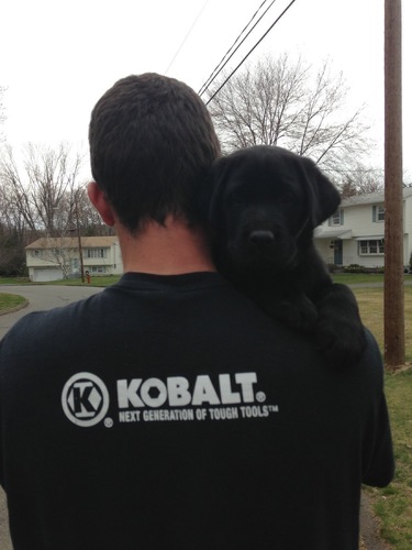 shawno5's profile picture. 