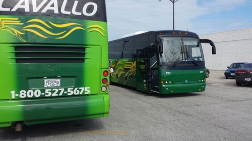 Timi's Tours  Profile