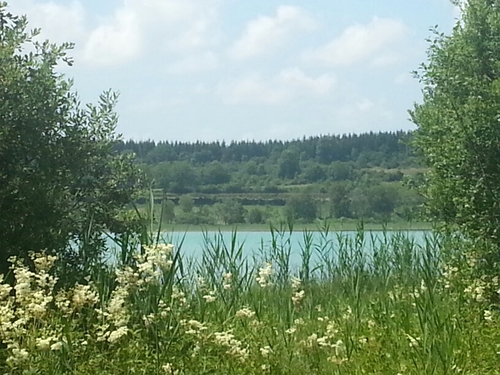 JacqWesK's profile picture. 