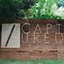 Captured Tracks Shop (@capttracksshop) Twitter profile photo
