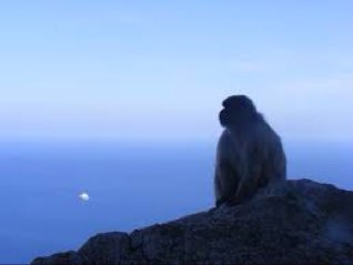 delpatuco72's profile picture. 