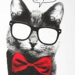 LAS MEJORES FRASES.    SÍGUEME Y TE SIGO