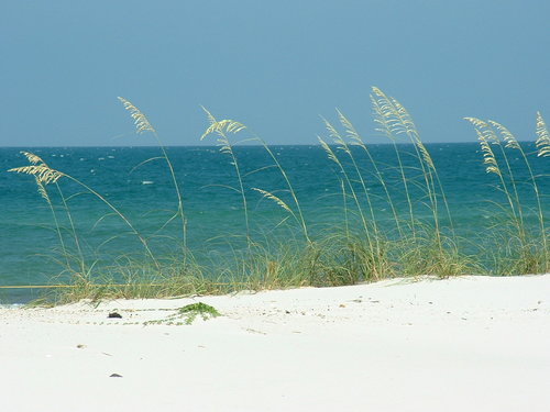 Come Fish with Us ! Deep Sea Fishing Trips in Gulf Shores, Orange Beach and Perdido Key! http://t.co/rJptUxWKrE