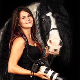 international Equine Photography. worldwide service