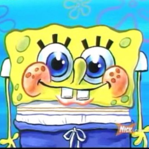 PoolGuardProb's profile picture. 