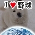 北海道犬を２頭飼育しています。赤のメス３才、白のメス５ヶ月それからソフトボールのピッチャーそれから弾き語りに挑戦中