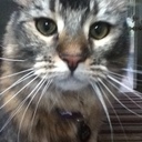 Bailey Arnold - @Jarnold9067 - Twitter