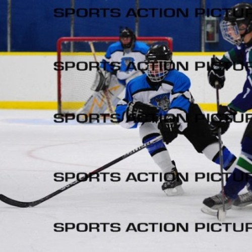 Occupation: Meatball @Wenatchee Wild Hometown: Portland, OR School:Sherwood Relationship: Married to The Game Religion: Hockey