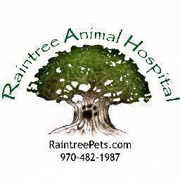 Excellence in caring for your pet is our professional focus.  Our commitment is to the highest standards of the veterinary profession.
