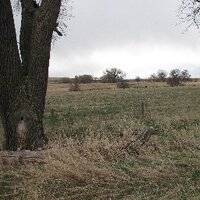NEcohusker (@necohusker) 's Twitter Profile