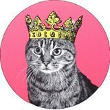 Indie Shop- IG @crazycatladyclothing