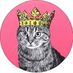 CrazyCatLadyClothing (@shopcrzycatlady) Twitter profile photo