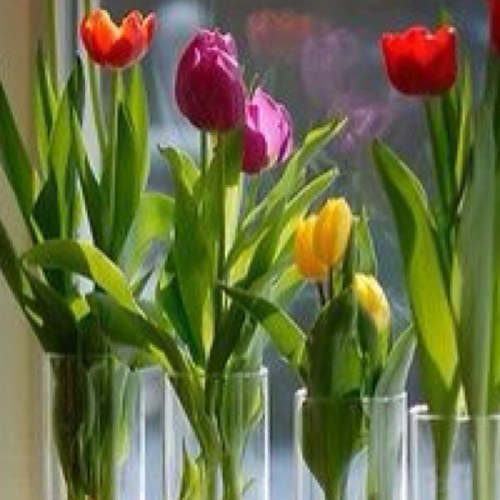 الحمد لله دائما وأبدا 🌷