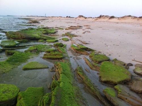 KhalifaObied's profile picture. ربنا لا تدع لنا ذنب إلاغفرته ولا هماً إلا فرجته