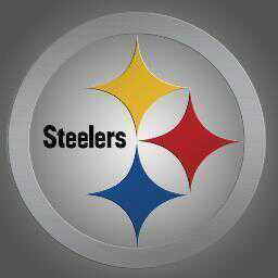 Steeler Fan