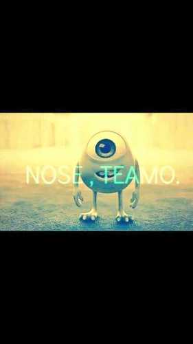 follow me ...