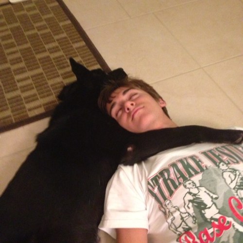 L_Sganderlous's profile picture. B3TULrd. I like Ike :p