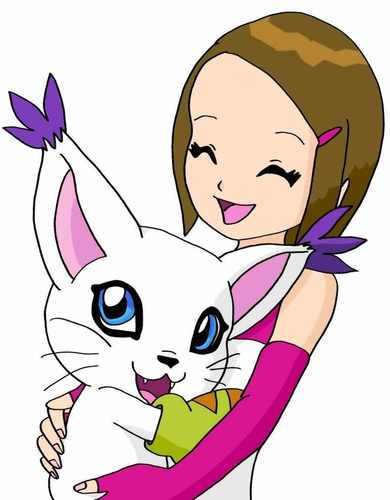 Hi! I'm Kari and my partner is Gatomon. I'm 12, like the other digi-destined. If I'm correct, Davis has a crush on me.