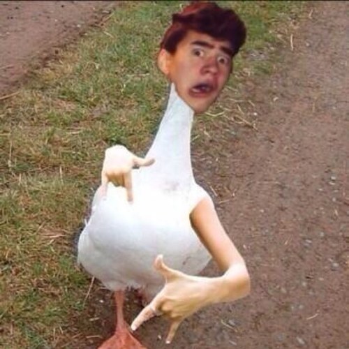 You just got a free follow! :) please follow @dreamofhemmings . Thank you i love your beautiful face :)xx