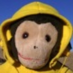 My name is AM.y (AwarenessMonkey, YO!) Consciousness Facilitator, Social Enterprise Tycoon, Stuffed Animal, BeatMonkey, Planet Shifting Awareness Master, YO!