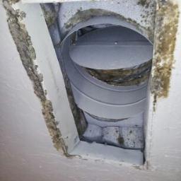 Dirty Carpet Sucks! 

Show it who's boss and remove dust, dirt, allergens, mold, and mildew from your home with green solutions from C&E Carpets and Vents!