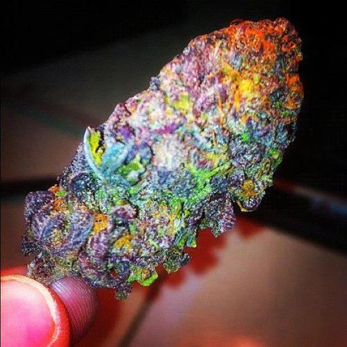 i love to smoke weed! thats just me follow me or not i dont really give a shit lmao seriously though :/