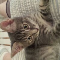 Tracinnasv (@tracinnasv) 's Twitter Profile