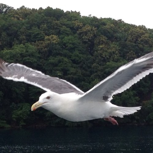 sobaratta's profile picture. 