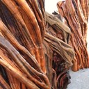 Dan Herbst - @sdurbantimber - Twitter