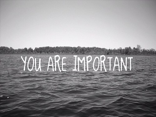 Trying to start over again is like trying to tell a dog dont bark impossible.( belieber)
