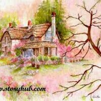 Storyhub® (@storyhub) 's Twitter Profile