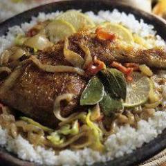 Traiteur Gastronomie Sénégalaise