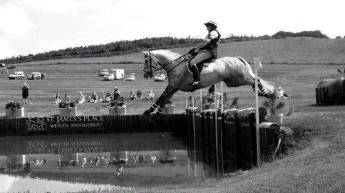 UK Business Manager Southern Region for @gainhorsefeeds. Amateur event rider who happens to ride up to 4* level. Enjoying life!