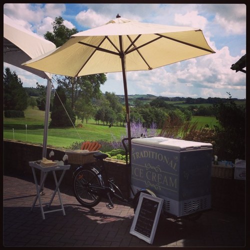 Covered in Style is a dedicated business offering chair cover hire, candy cart and our new ice cream trike at affordable prices. Suitable for all events.