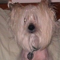 Vicki (@gojeffie24) 's Twitter Profile