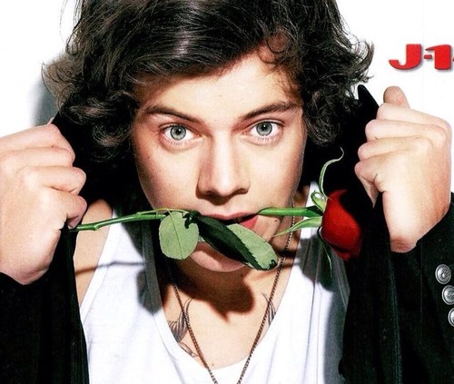 One direction ❤harry is taken by me Follow me if u love 1D ...... I like olly as ny second fav singer ❤❤❤❤❤❤