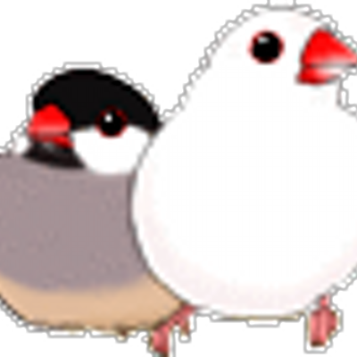 文鳥ランド Buncholand Twitter 文鳥ランド Buncholand Twitter