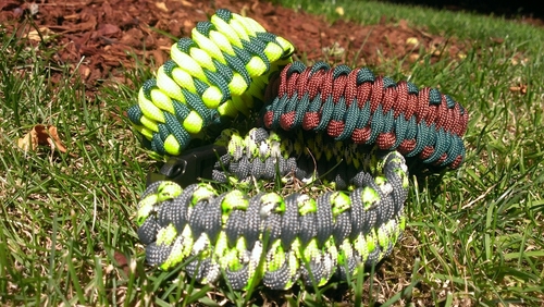 Pawbahr's profile picture. 