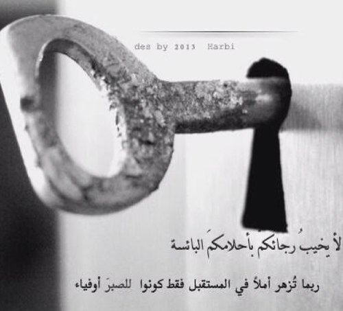 faqr1's profile picture. 