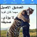 احمد محمد (@234Amr1234) Twitter