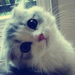 JustDoIt_1994's profile picture. 