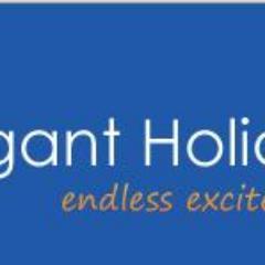 Elegant Holidays- Am Endless Excitement