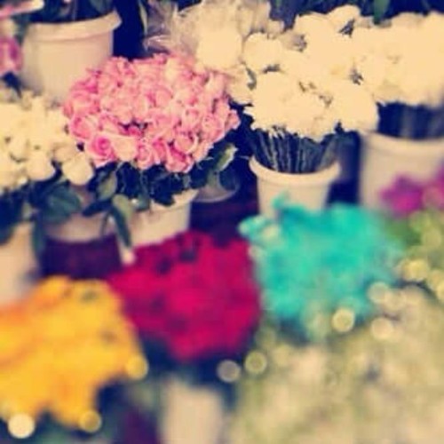 ‏‏‏سمير حسن العيسي