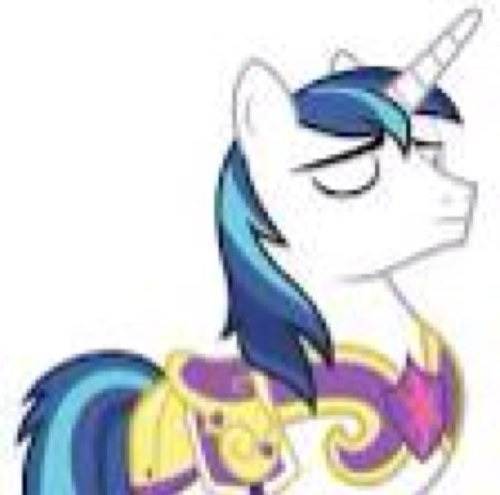 Im Shining Armor| @FIM_Sparkle is my sister| #FIM_Ponies Official NO R34!| Captain of the Royal Guard and ruler of the Crystal Empire| my love @FIM_PrCadence|