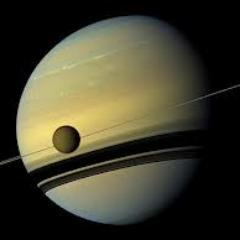 cota_lois's profile picture. DEA agent