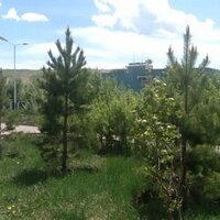 Ж.Баярсайхан (@bayarsaikhanor) 's Twitter Profile