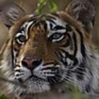 Peter Schmitz (@ralkhralkh) 's Twitter Profile