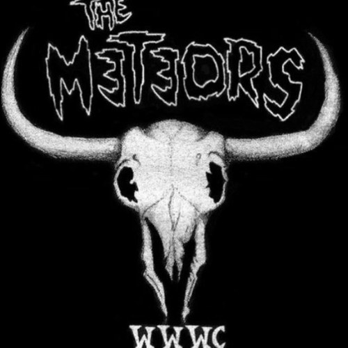 dodgewwwc's profile picture. 