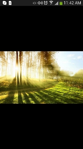 omneiaa's profile picture. “Seizing the day, one photo at a time.”